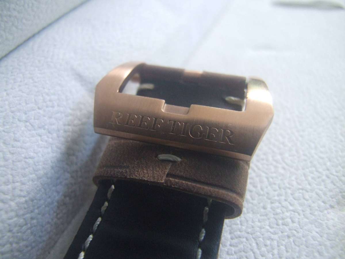 This watch is a Reef Tiger Aurora Rally S2 model,