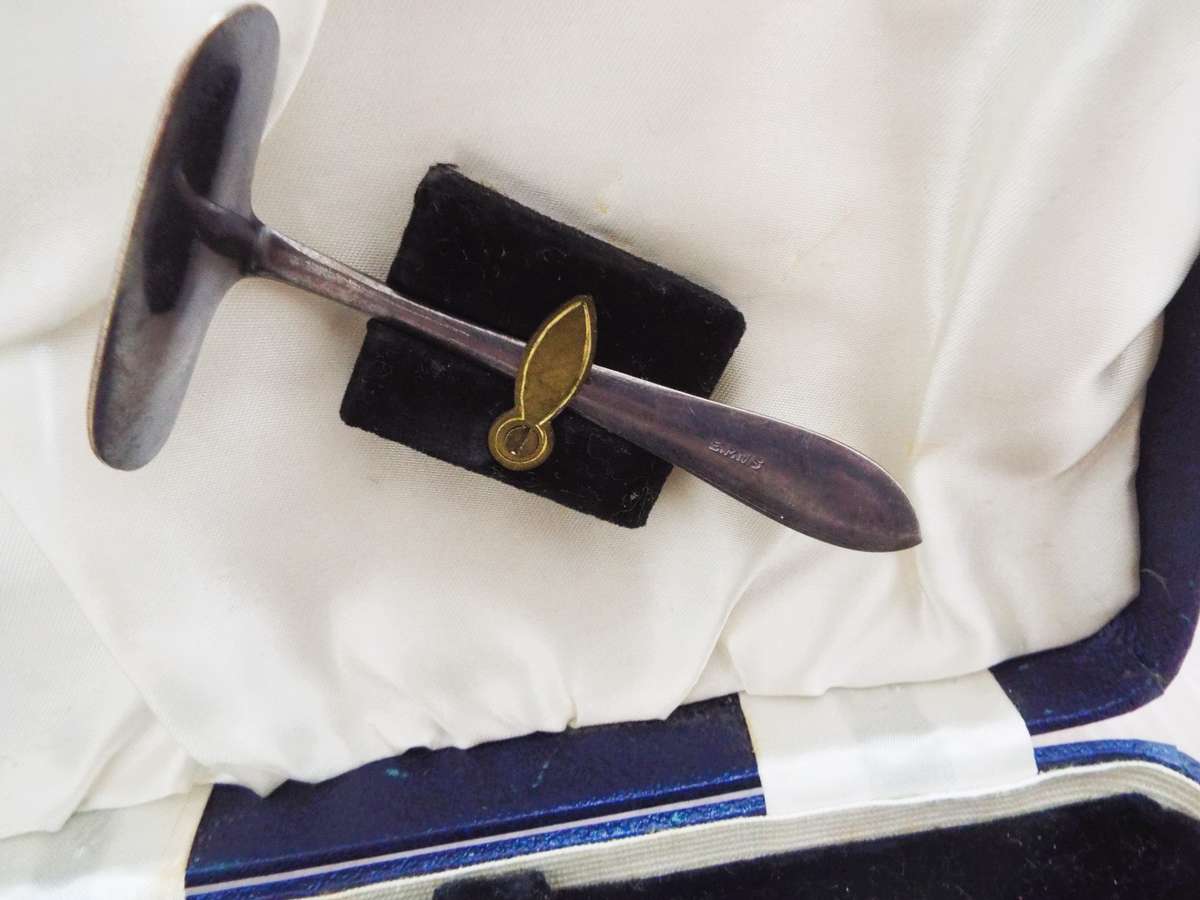 vintage ,,Nice  Dessert cutlery set IN BOX