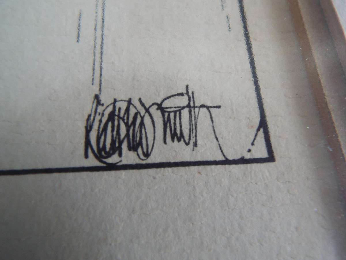 2 x Cartoon Art, Well Framed, Matted and Framed