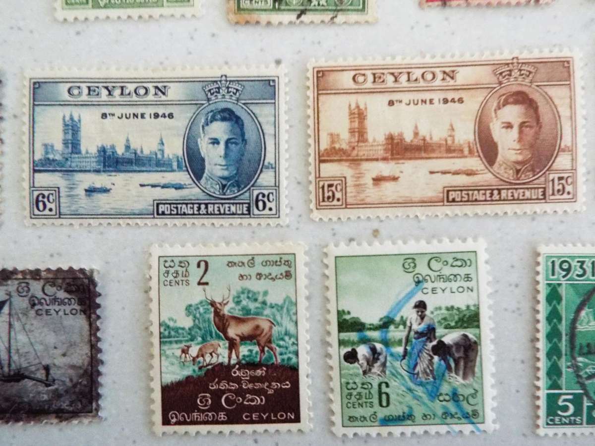 CEYLON LOT