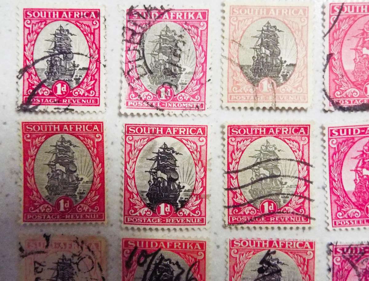 SOUTH AFRICA 1D SHIPS', different collars HAVE A LOOK