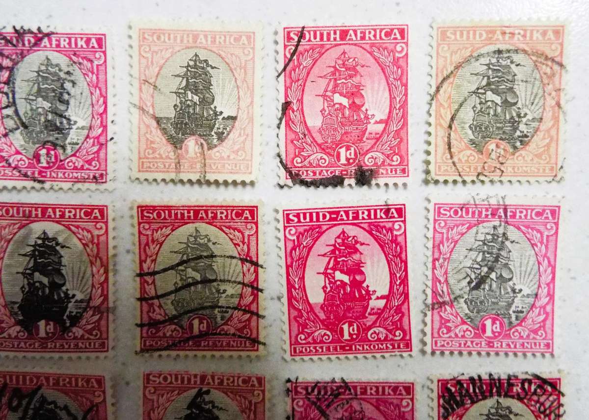 SOUTH AFRICA 1D SHIPS', different collars HAVE A LOOK