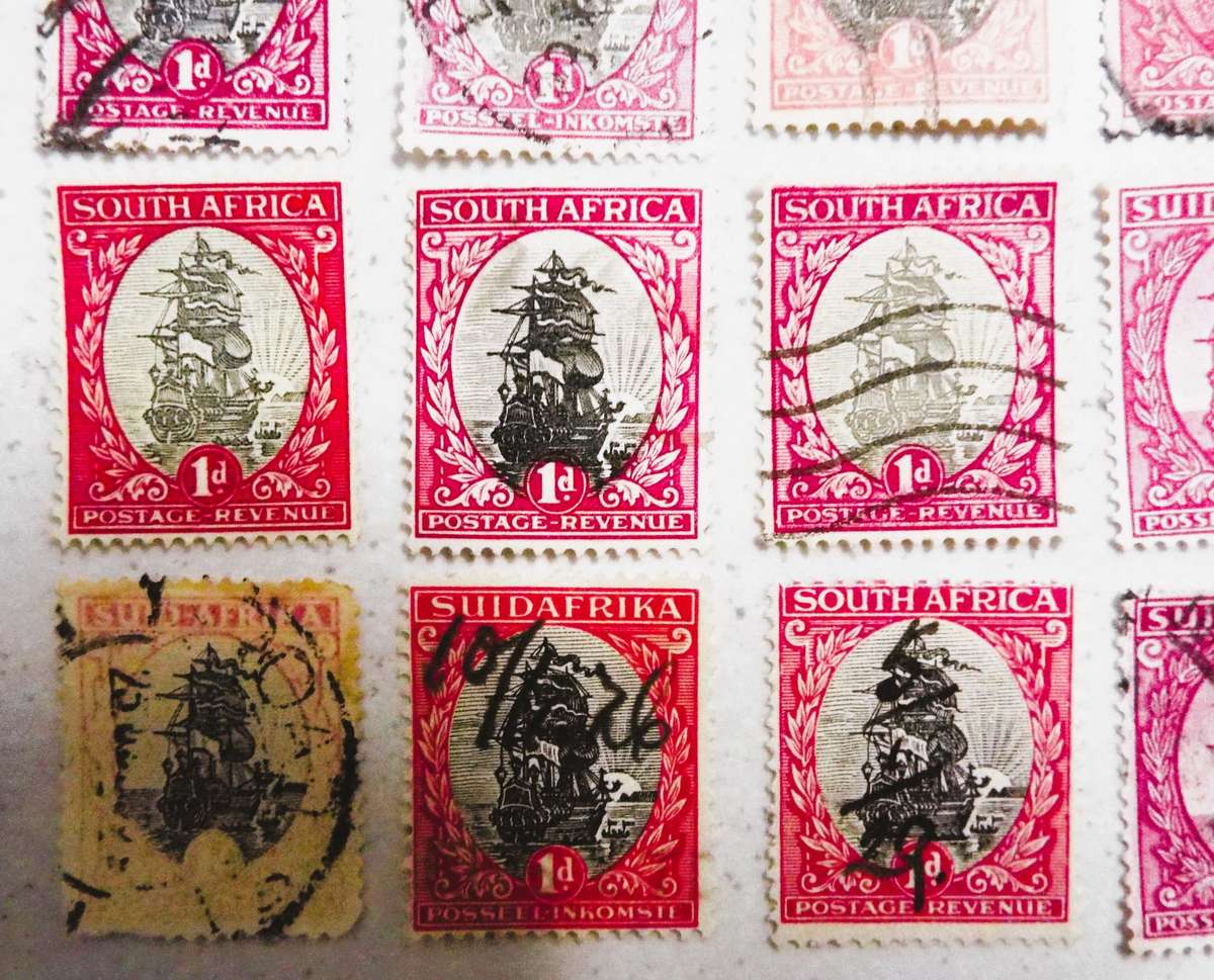 SOUTH AFRICA 1D SHIPS', different collars HAVE A LOOK