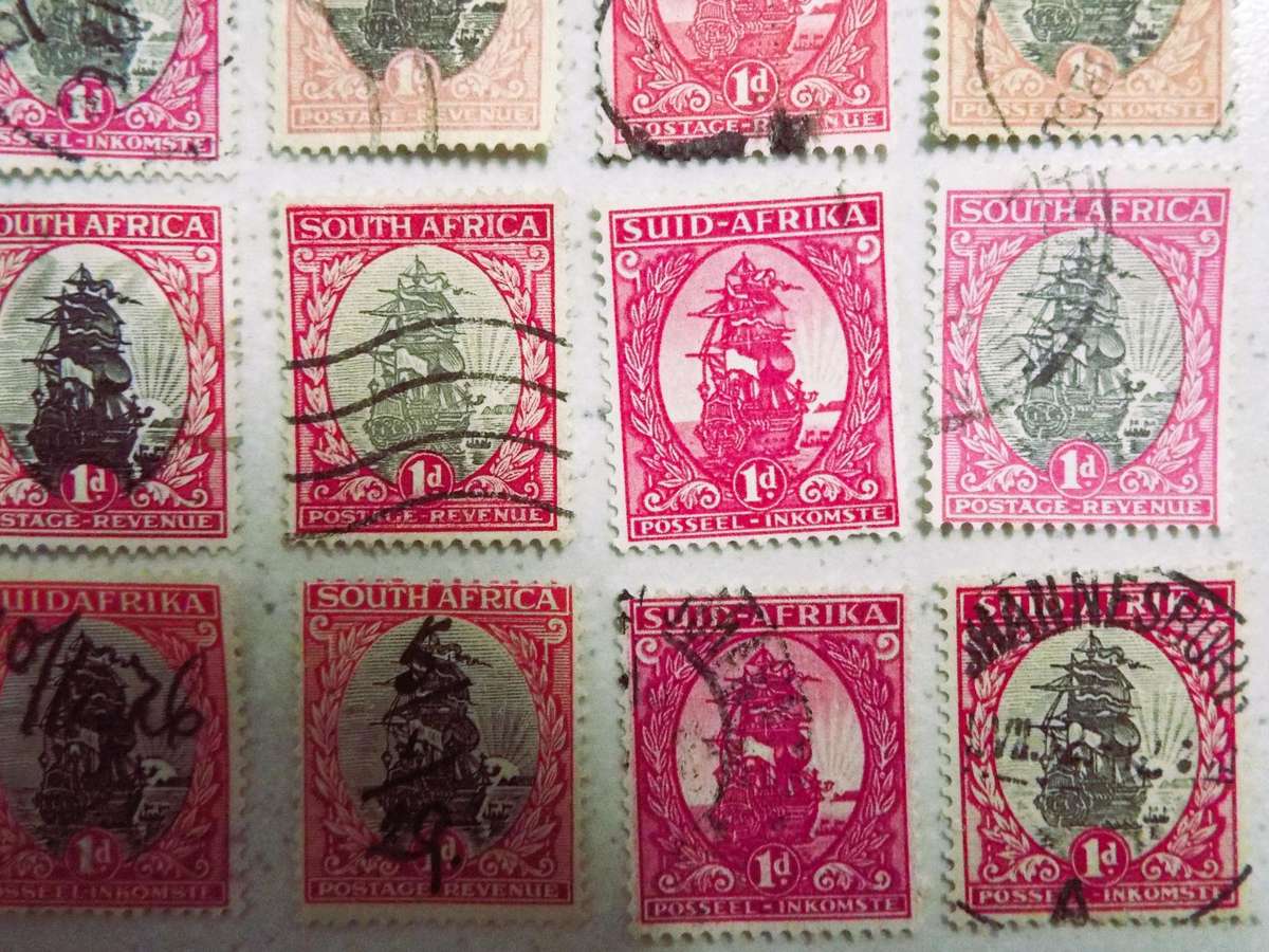 SOUTH AFRICA 1D SHIPS', different collars HAVE A LOOK