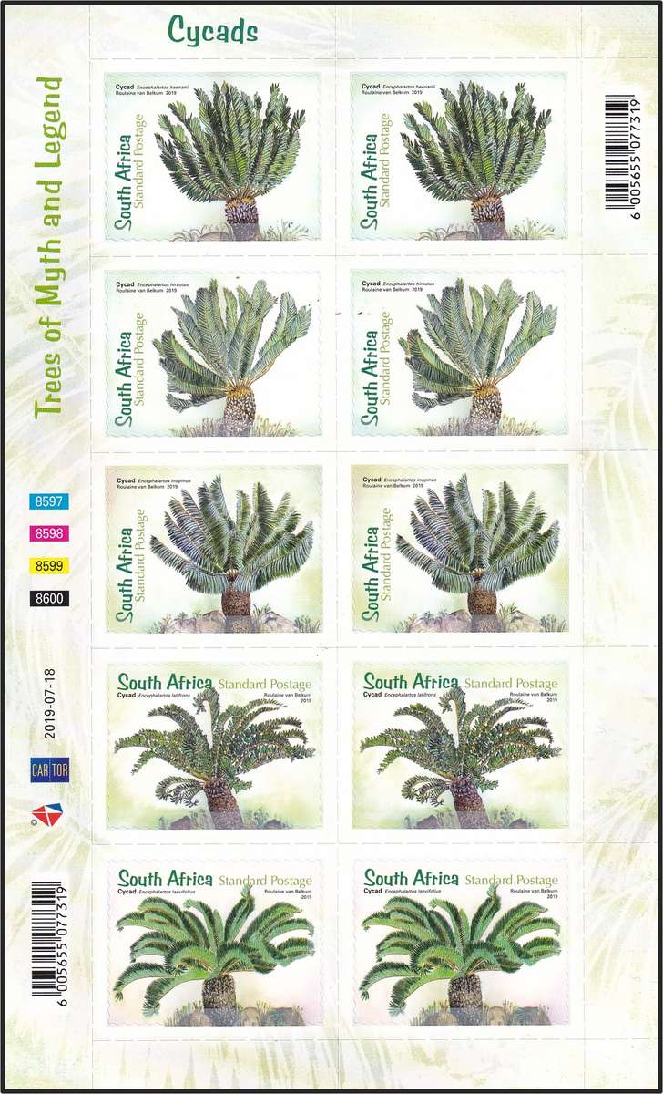 2019 RSA Cycads Full UMM(**) Self-Adhesive Sheetlet of 10  @ CV  R300