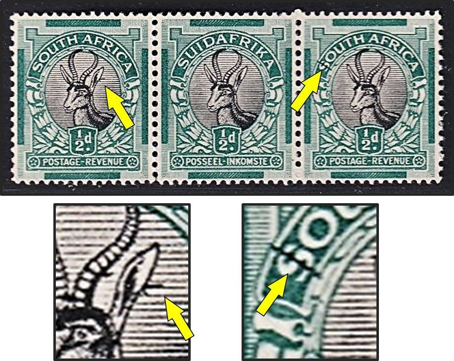 1930 Union ½d ROTO UMM(**) Varieties CC.42h & 42i on one Strip  - Tagged Ear & $-Sign