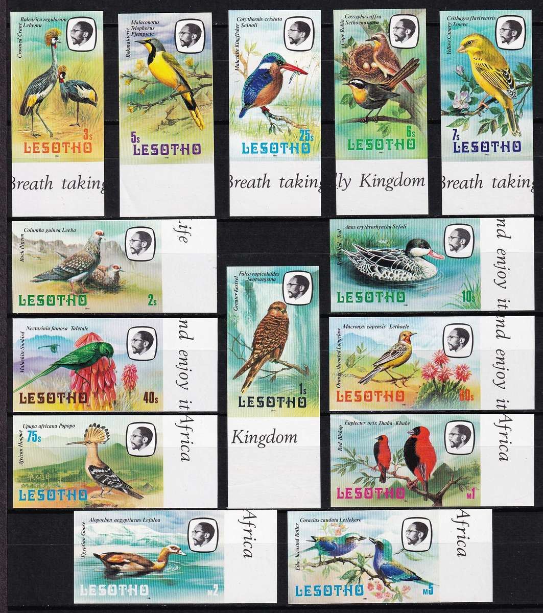 1981 Lesotho Birds UMM(**) IMPERFORATED High Value Set - Scarce as Marginal Singles