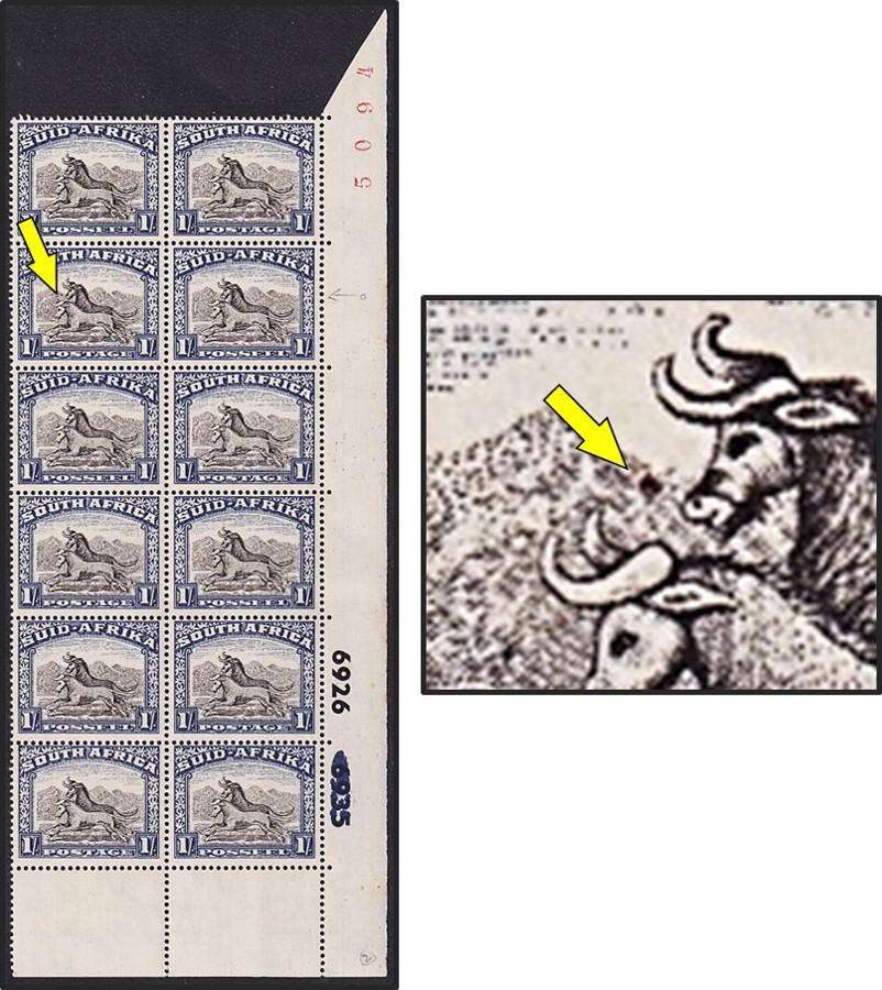 1950 Union 1/- UMM(**) Extended Control Variety - Solid Circle infront of Second Gnu's Nose