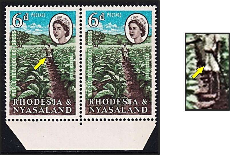 1963 Rhodesia & Nyasaland 6d UMM(**) Pair with "Torn Trousers" Flaw