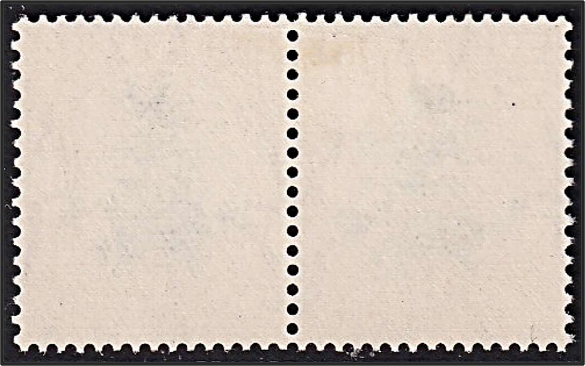 1930 Union 1d  Roto MM(*) Variety - Black Marks on Leaves & Left of Scroll - Rare!
