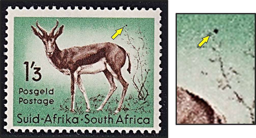 1954 Union 1/3 UMM(**) UHB Variety - "Berry on Bush"