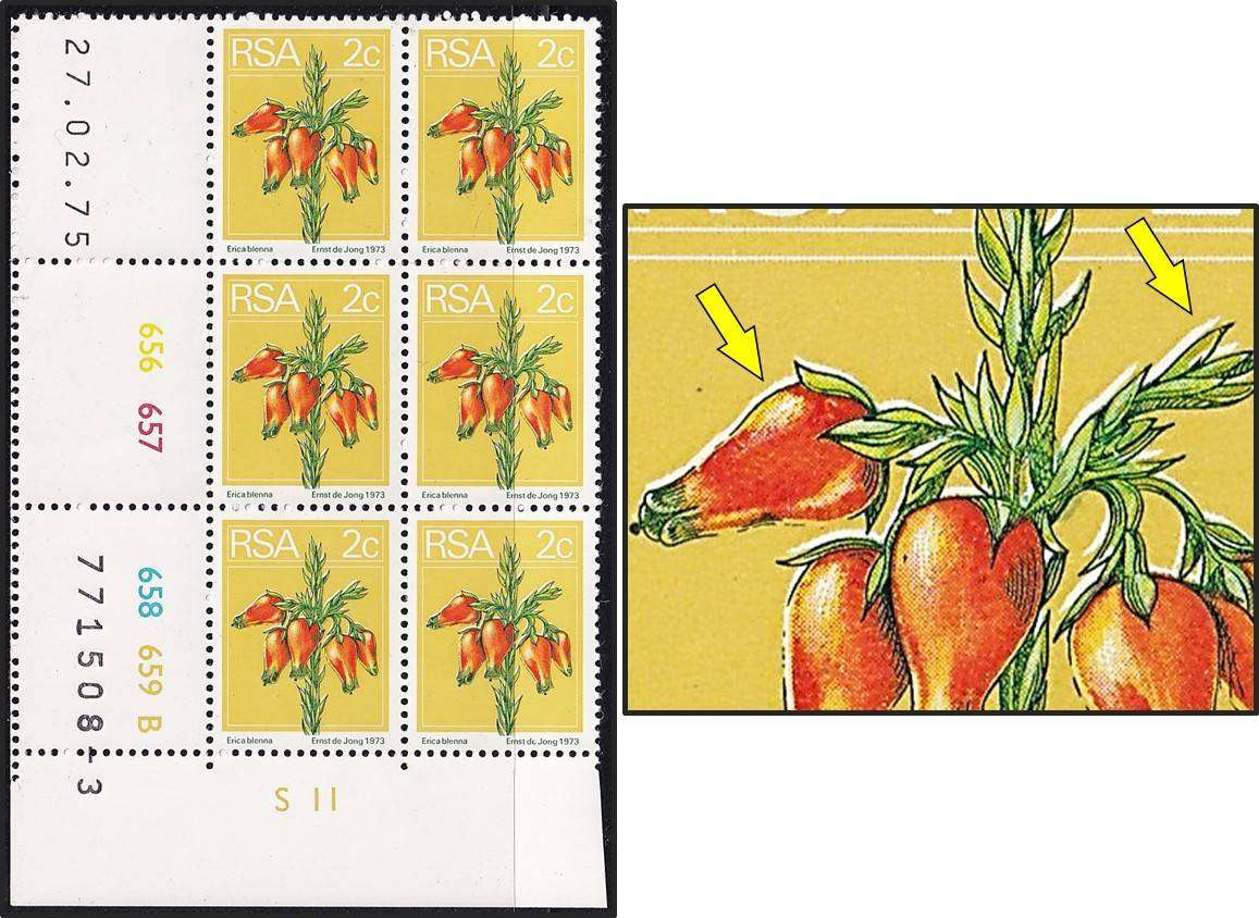 1974 RSA 2c UMM(**) Variety - Colour Shift/White Shadow on Flowers