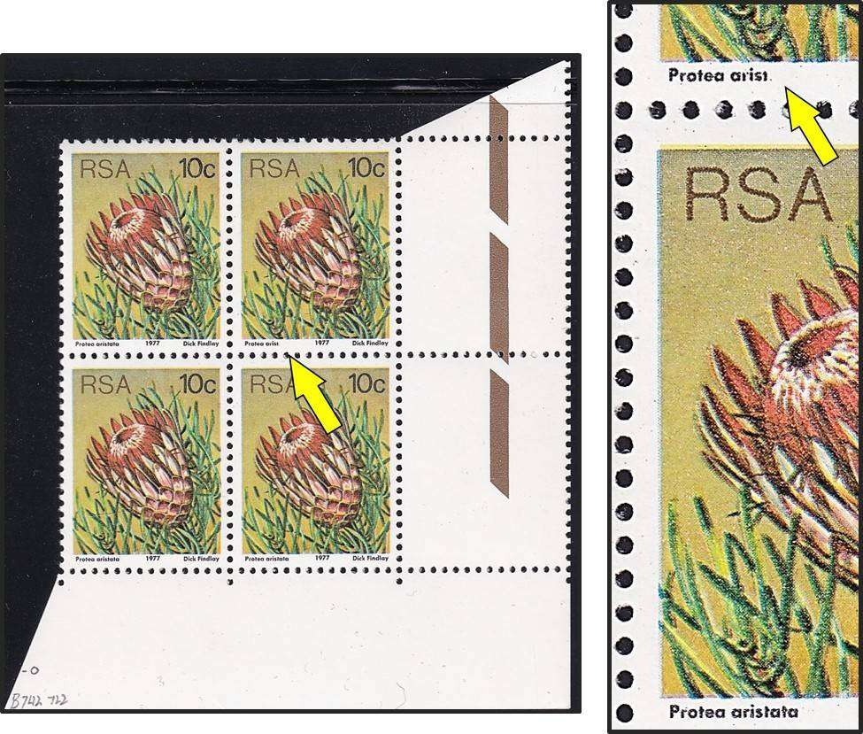 1977 RSA 10c Protea UMM(**) Positional Variety "Arist" instead of "Aristata"