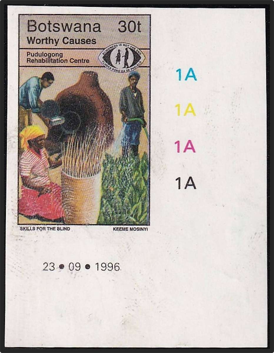 1996 Botswana 30t Worthy Causes UMM(**) Sheet No. Block IMPERF - Scarce