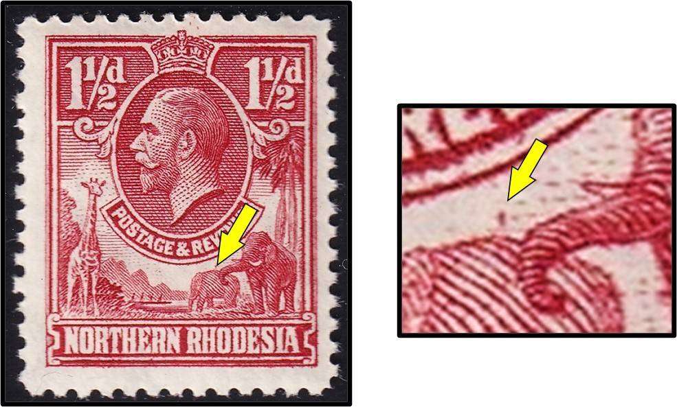 1925 N.Rhodesia 1½d KGV UMM(**) Variety -  Small Red Bird on Elephants Back - RARE!