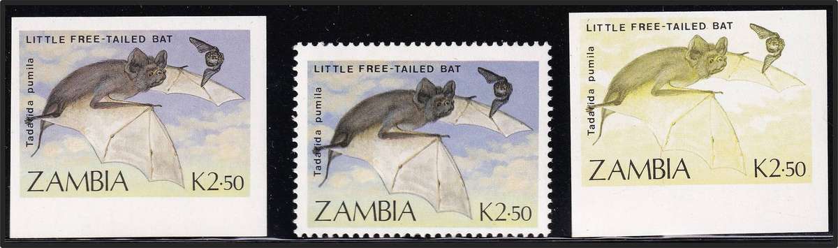 1989 Zambia K2.50 Bats UMM(**) IMPERF Single & Colour Trail + Normal Stamp