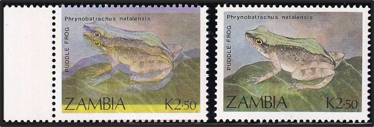 1989 Zambia K.2.50 Frogs UMM(**) Var - Colour Shift + Normal Stamp - RARE