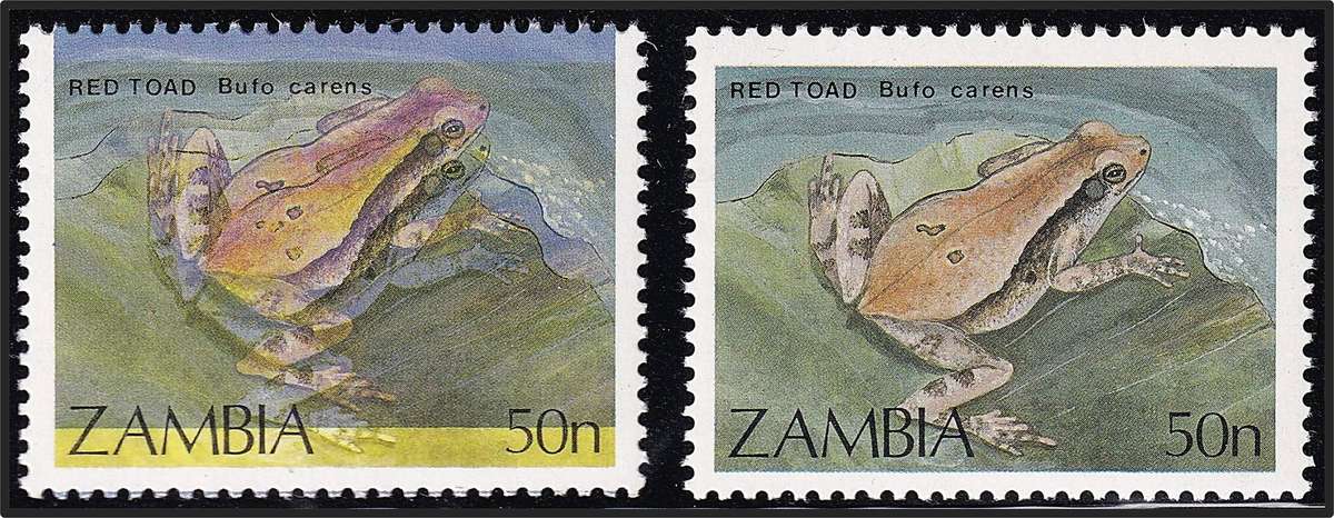 1989 Zambia 50n Frogs UMM(**) Var - Colour Shift + Normal Stamp - RARE