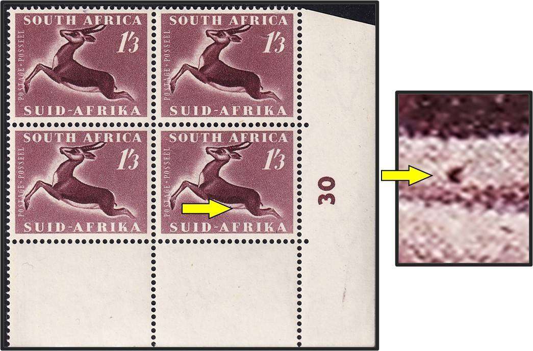 1953 Union 1/3 Control UMM(**) UHB Variety - Mark on Buck's Stomach