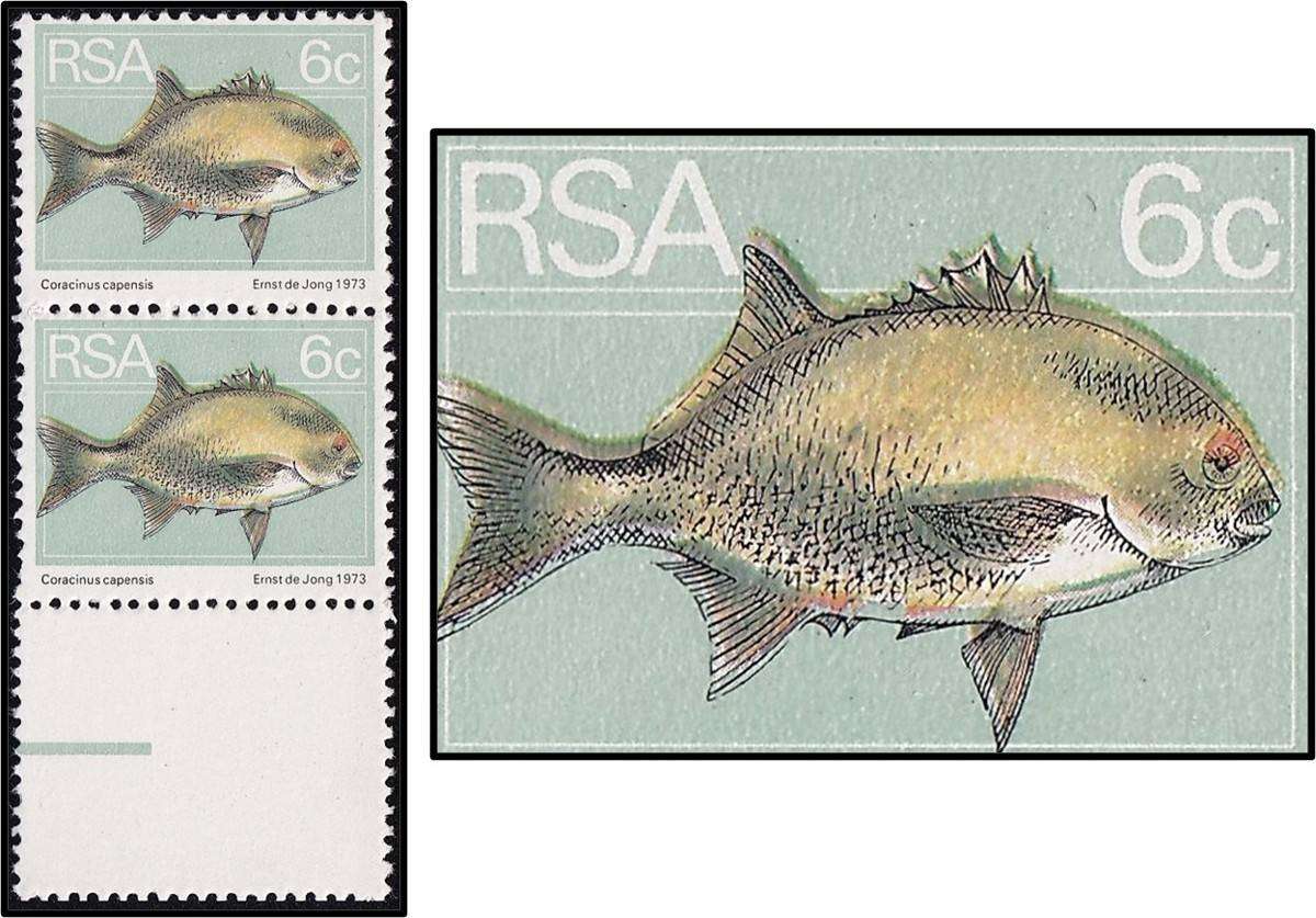 1974 RSA 6c UMM(**) Variety - Colour Shift - "Double Fin Flaw"
