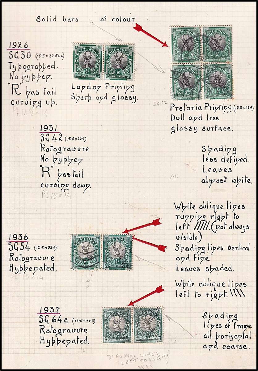 Union ½d & 1d Pictorials Study lot on Pages