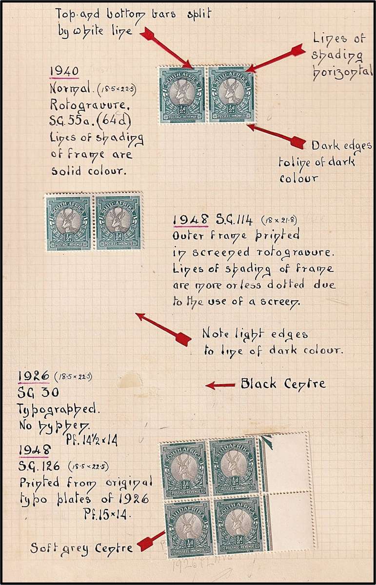 Union ½d & 1d Pictorials Study lot on Pages