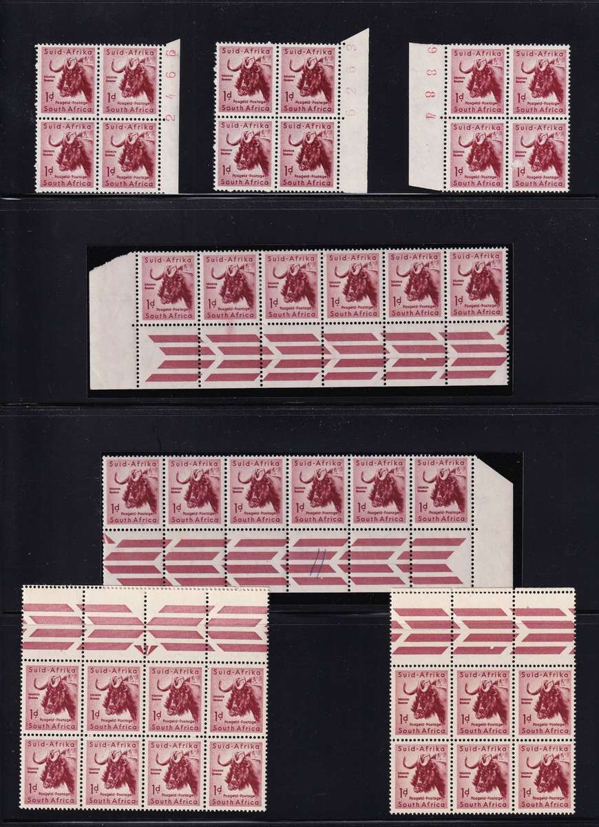 1954/60 Union 1d, Mostly UMM(**) Blocks, UHB Varieties etc.. Great Study Lot!