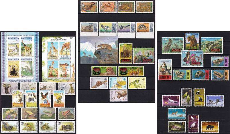 Animal Themed UMM/MM Sets - Fantastic Thematic!