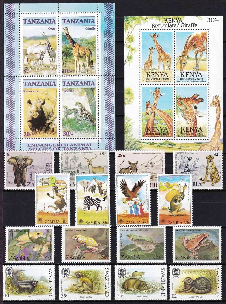 Animal Themed UMM/MM Sets - Fantastic Thematic!