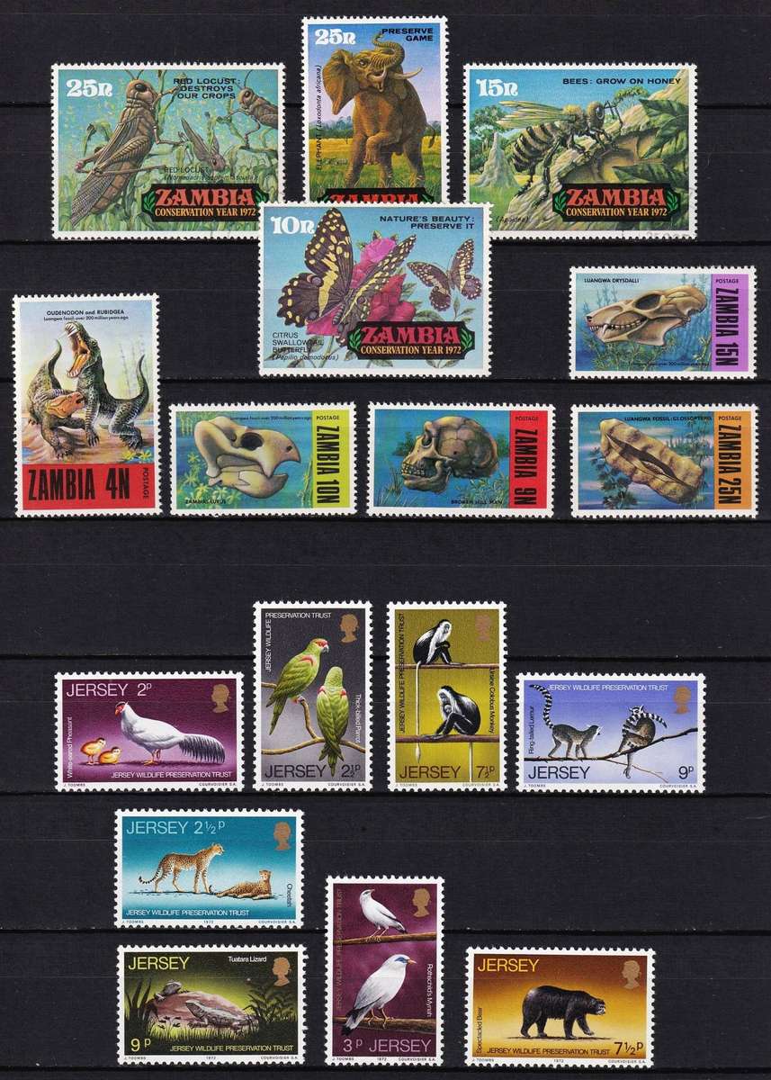Animal Themed UMM/MM Sets - Fantastic Thematic!