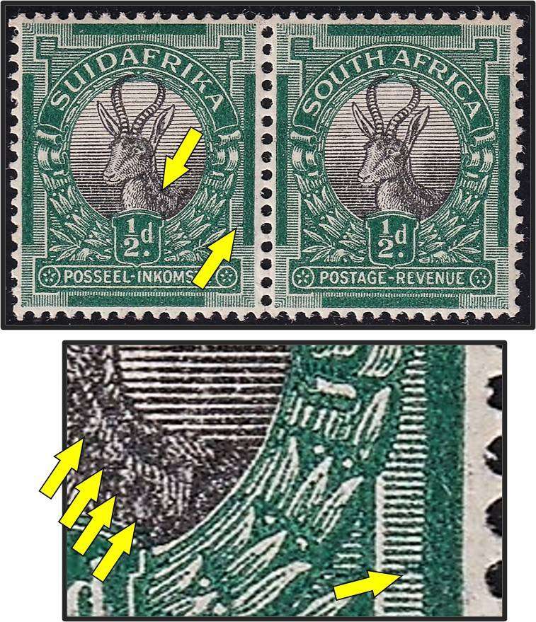 1930 Union ½d MM(*) CC.42f Varieties - Thickened Lines & "Speckled Buck" Flaw