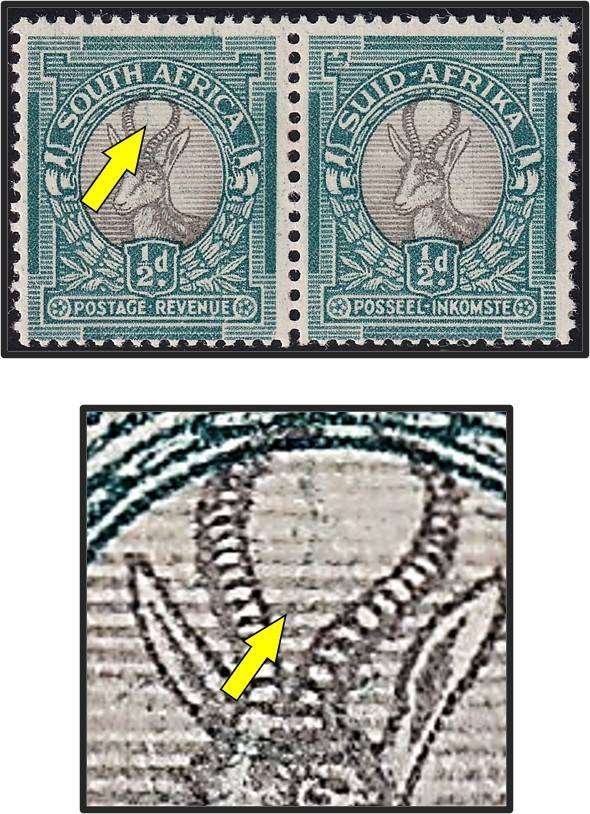 1950 Union ½d MM(*) Variety - Green Scratch between Buck's Horns