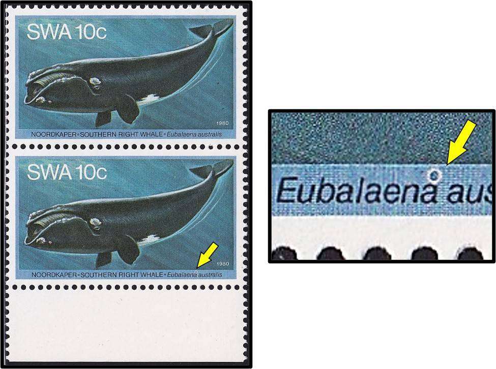 1980 SWA 10c Wales UMM(**) with Variety - "Ring" Flaw above "a" in Eubalaela