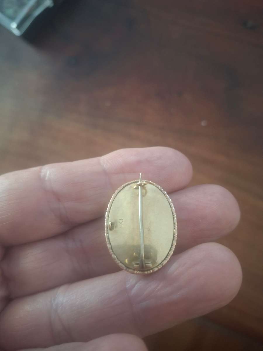 Butterfly wing set In 9kt gold  vintage brooch or pendant