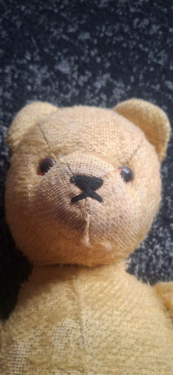 Vintage teddy bear