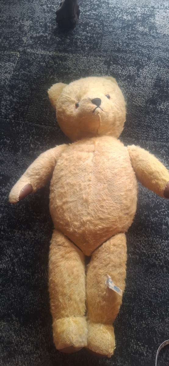 HUGE MOHAIR VINTAGE ARK TEDDY BEAR  1950'S