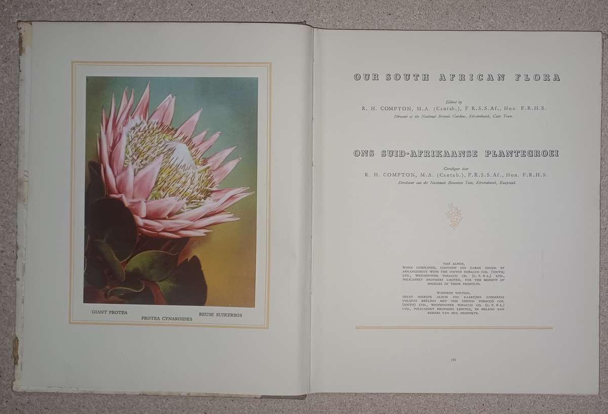 Our South African Flora-Ons Suid-Afrikaanse Plantegroei