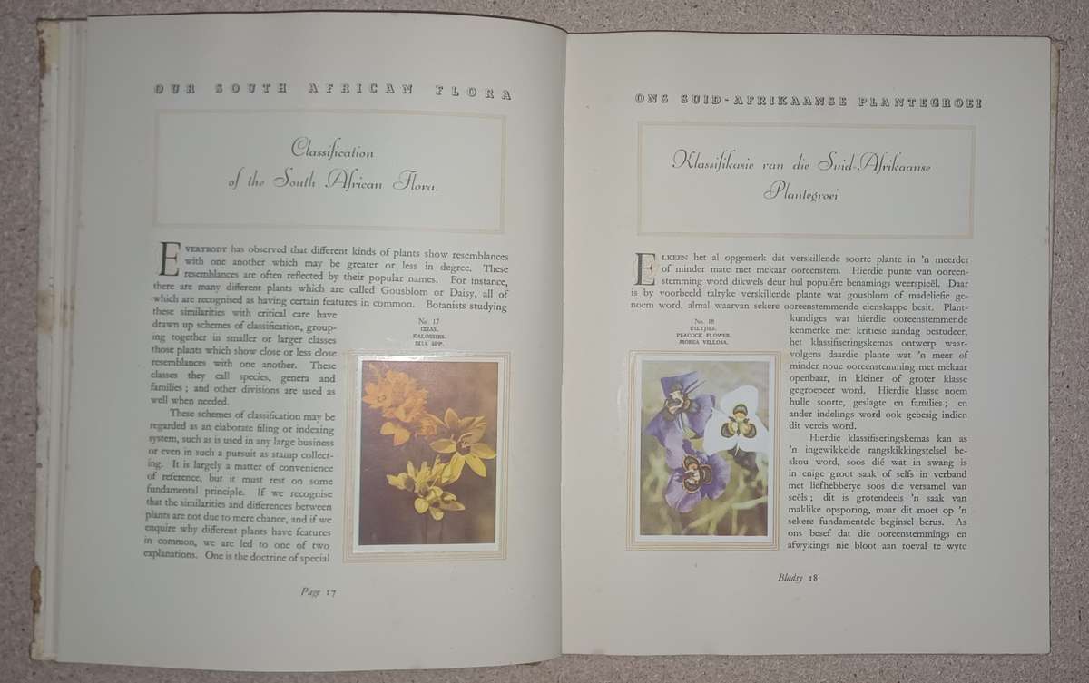 Our South African Flora-Ons Suid-Afrikaanse Plantegroei