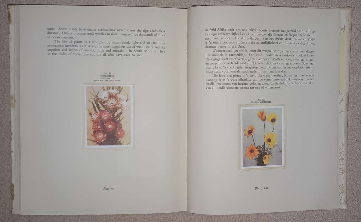 Our South African Flora-Ons Suid-Afrikaanse Plantegroei