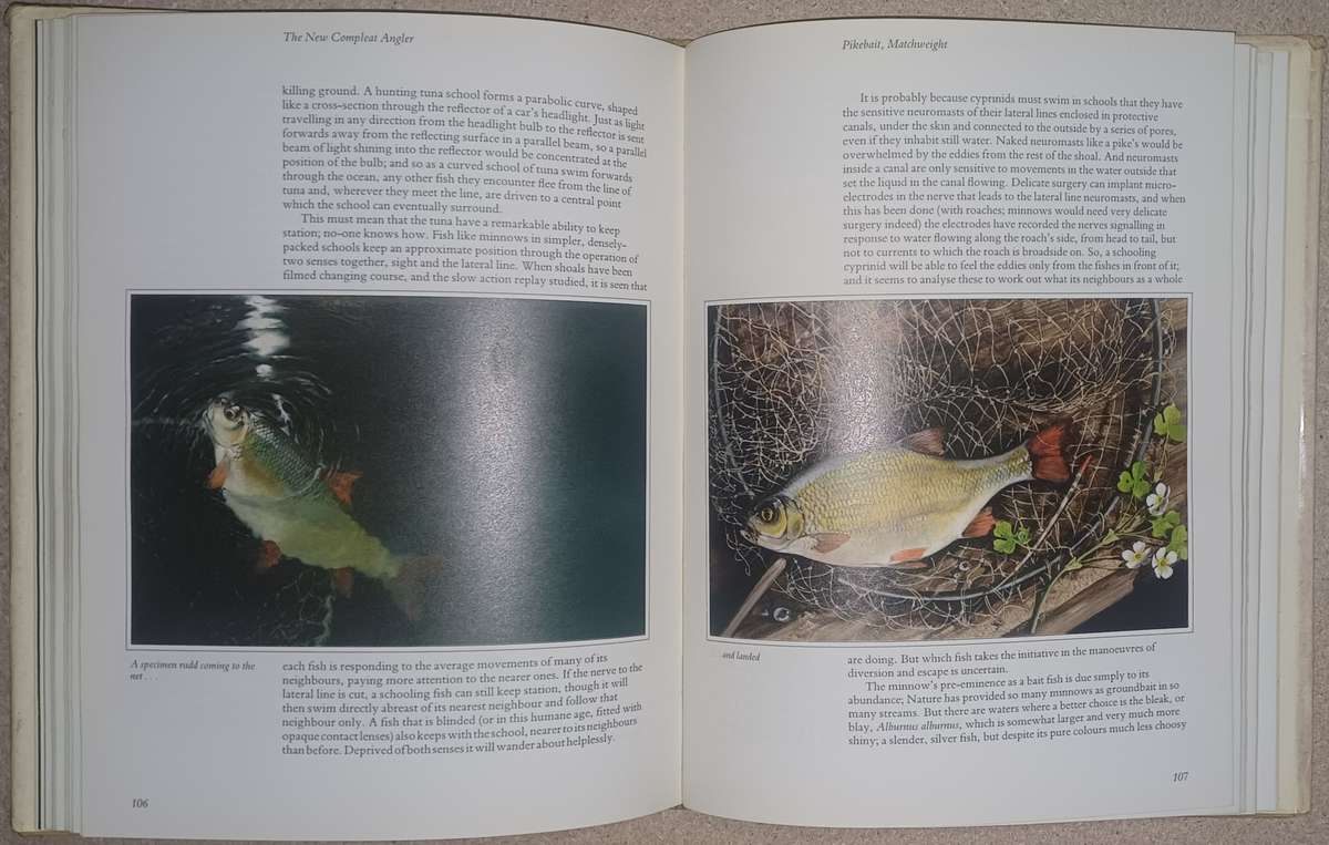 The New Compleat Angler Stephen Downes