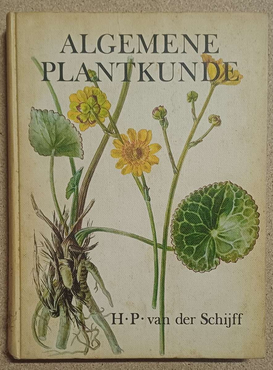 ALGEMENE PLANTKUNDE H. P. van der Schijff