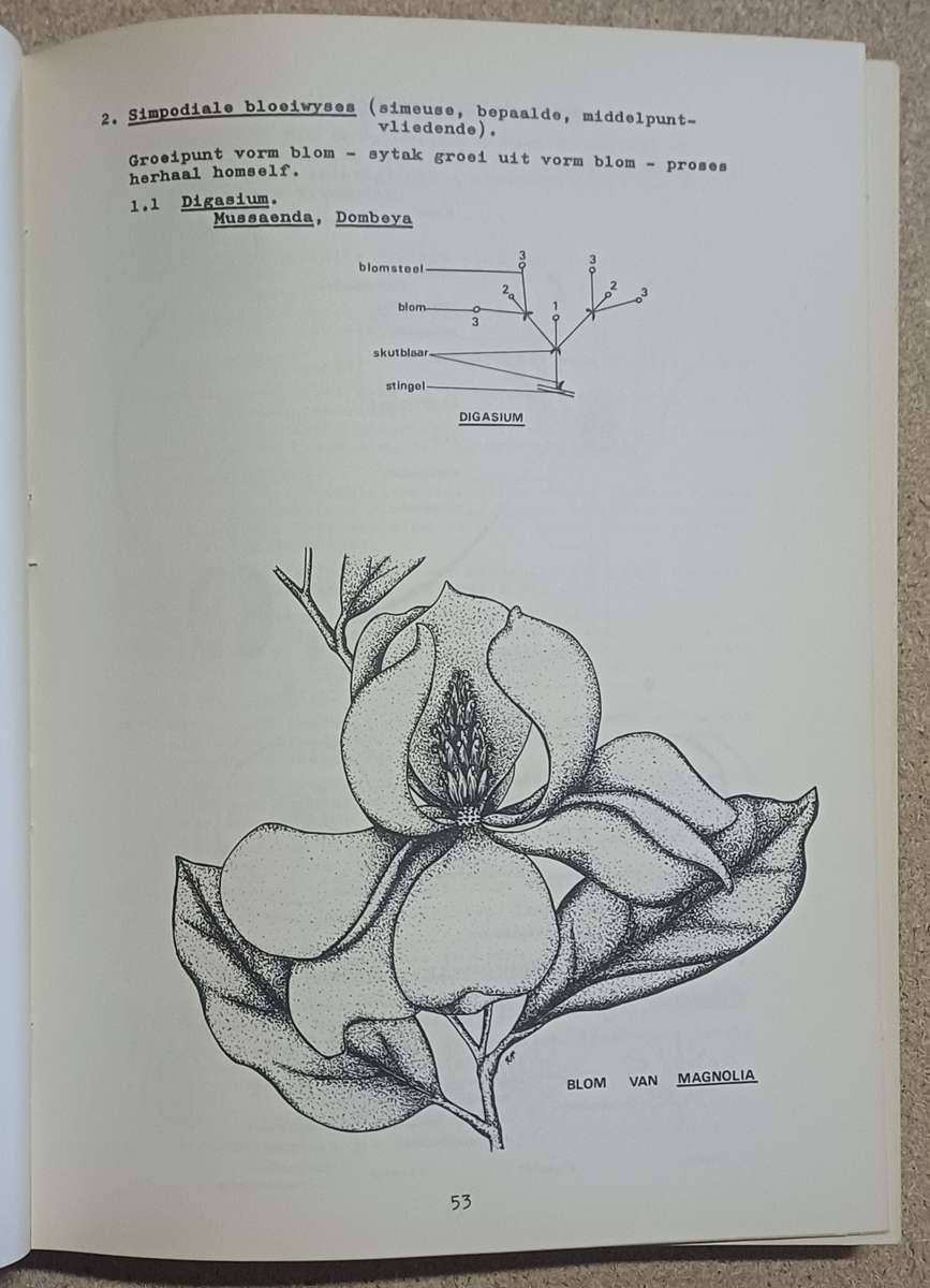 ALGEMENE PLANTKUNDE H. P. van der Schijff