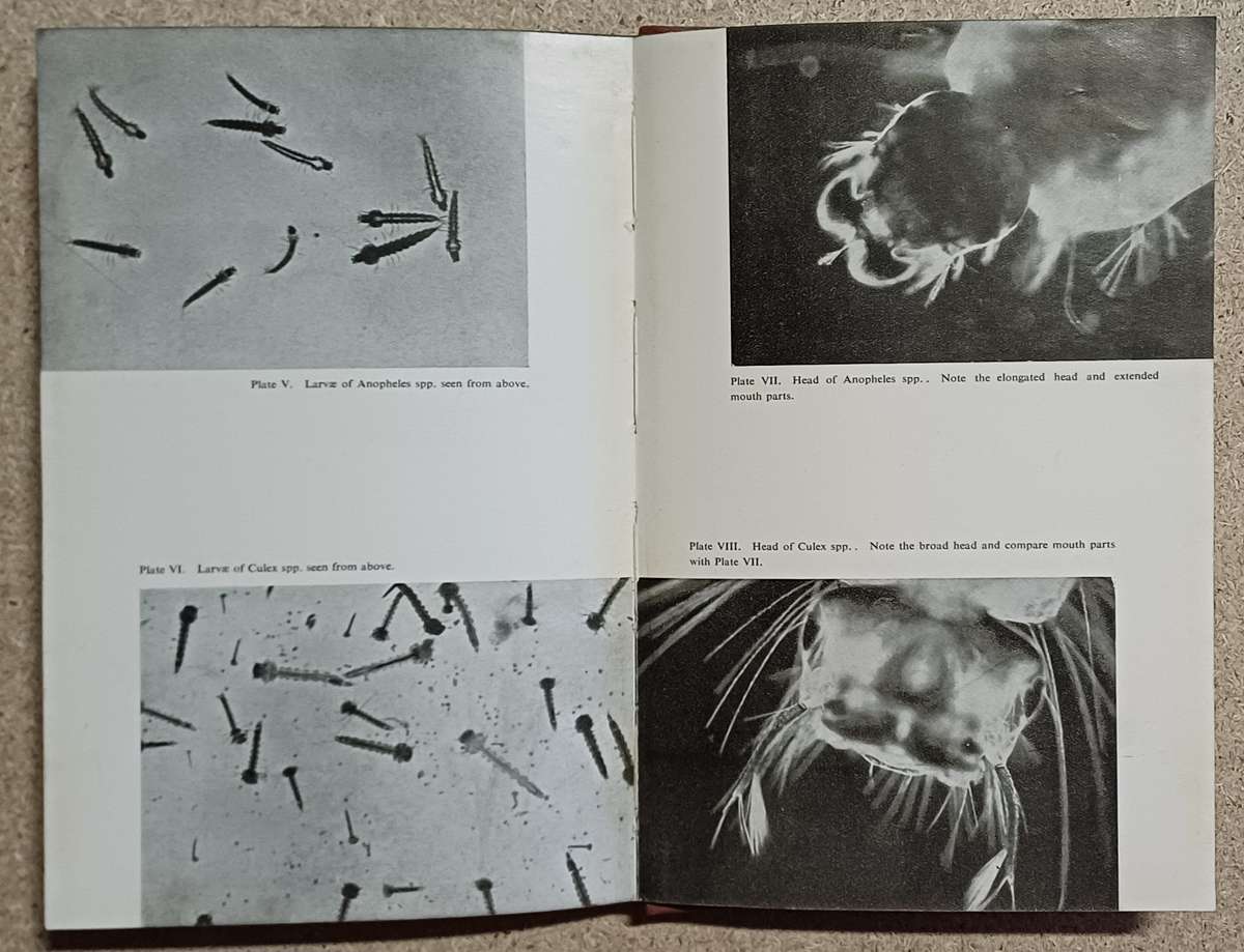 A HANDBOOK OF MALARIA CONTROL by R. Svensson