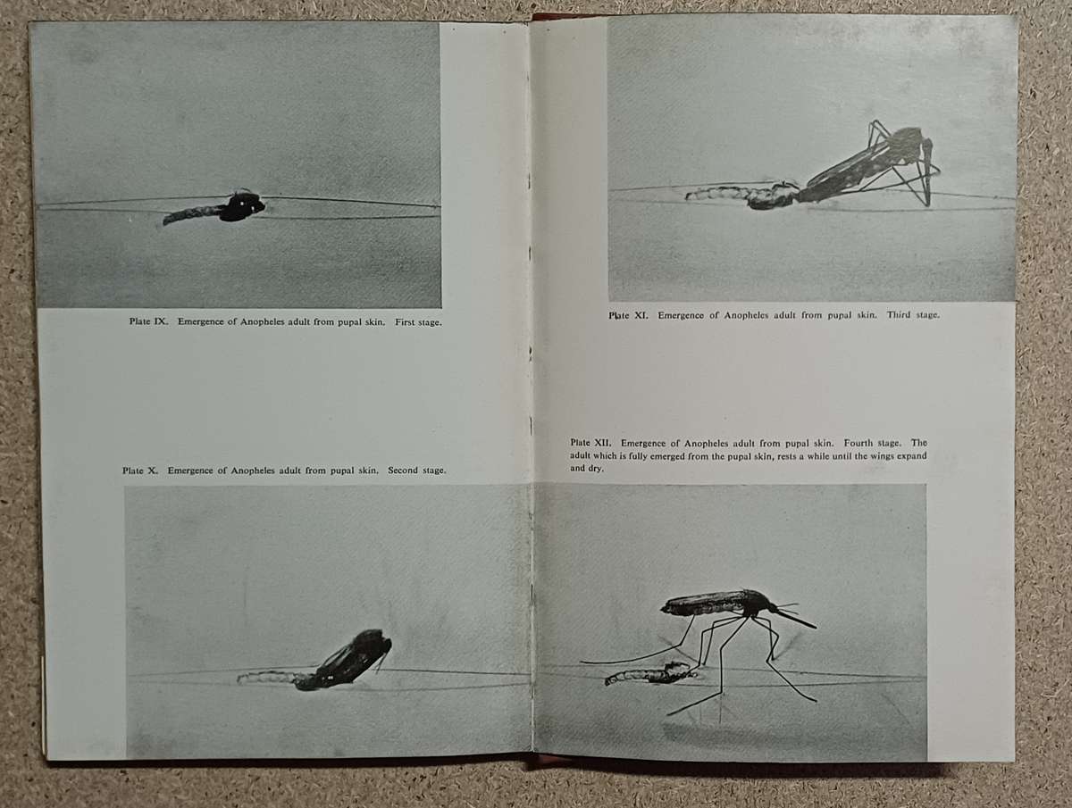 A HANDBOOK OF MALARIA CONTROL by R. Svensson