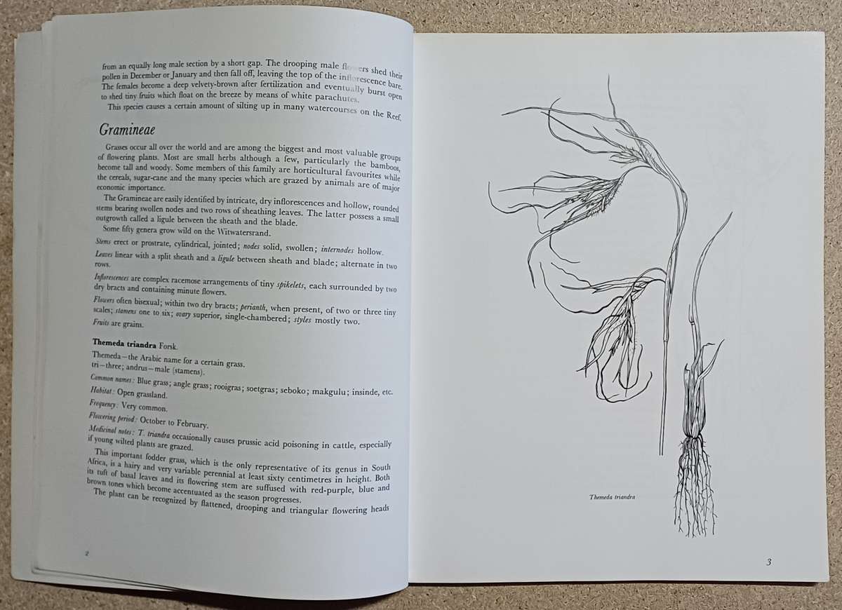 WILDFLOWERS OF THE WITWATERSRAND ANNABELLE LUCAS