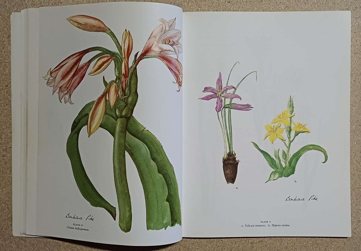 WILDFLOWERS OF THE WITWATERSRAND ANNABELLE LUCAS