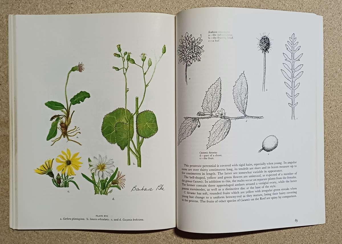 WILDFLOWERS OF THE WITWATERSRAND ANNABELLE LUCAS