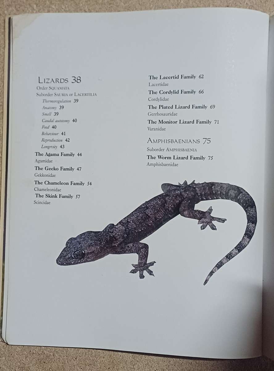 REMARKABLE REPTILES OF SOUTH-AFRICA NIELS JACOBSEN