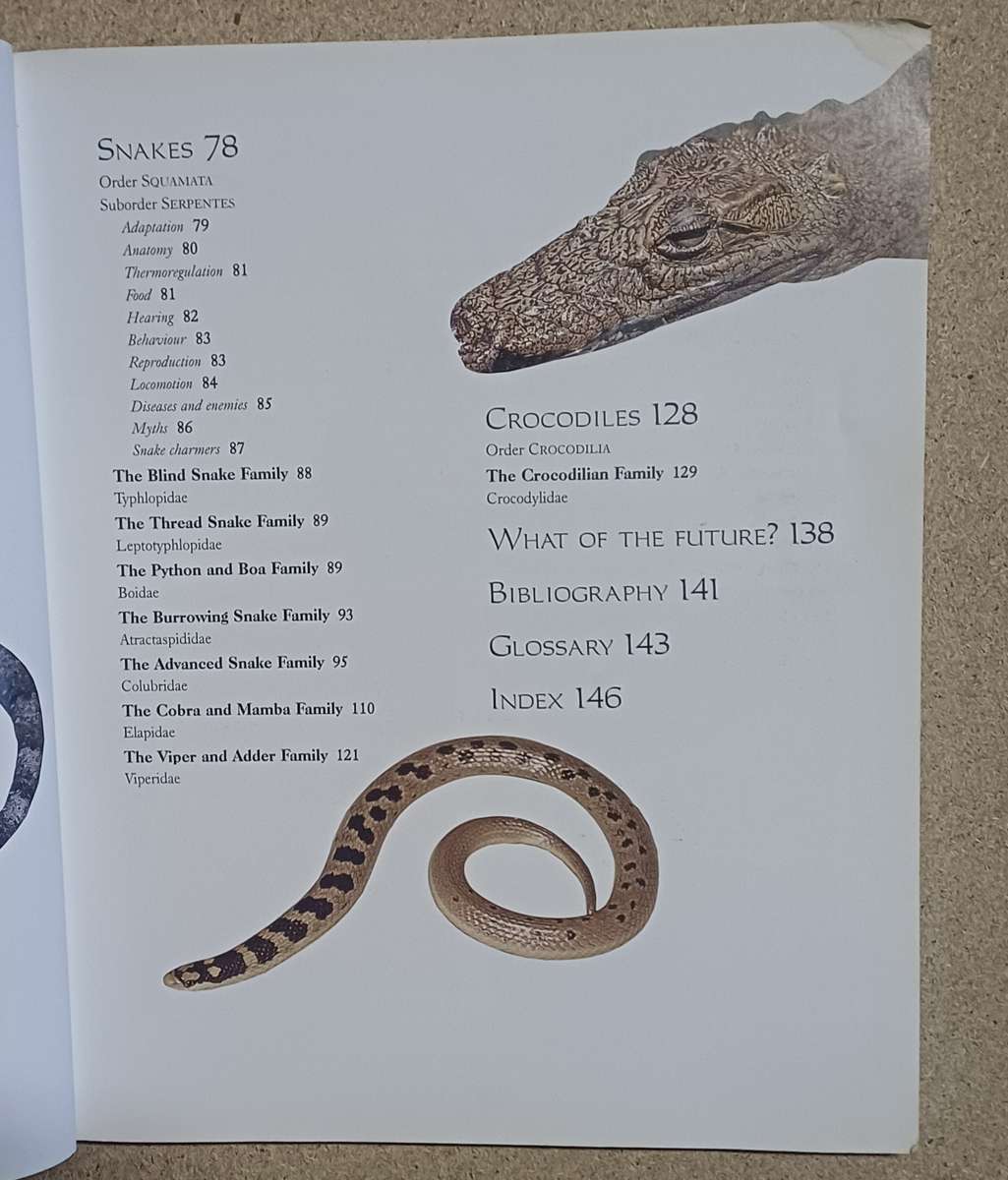 REMARKABLE REPTILES OF SOUTH-AFRICA NIELS JACOBSEN