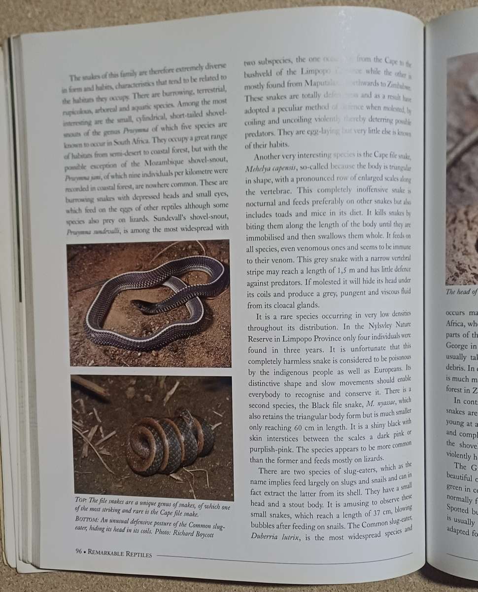 REMARKABLE REPTILES OF SOUTH-AFRICA NIELS JACOBSEN